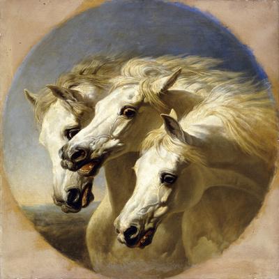 A1Wild Horses Poster Art Print 60 x 90cm 180gsm Mustang Herd Horse Gift #8532